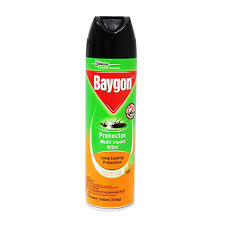 BAYGON INSECTICIDE 300ML